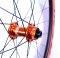 Bench Wheels Laufrad Set FCCD25 50mmTubelessReady Full Carbon Clincher Disc